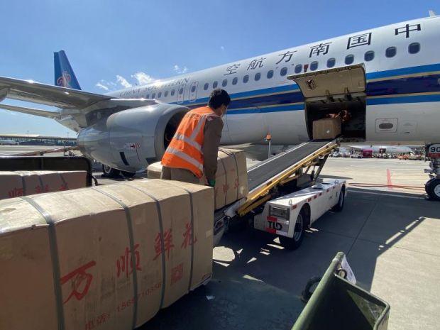 南航快运等国际产品上线助力航空物流提速