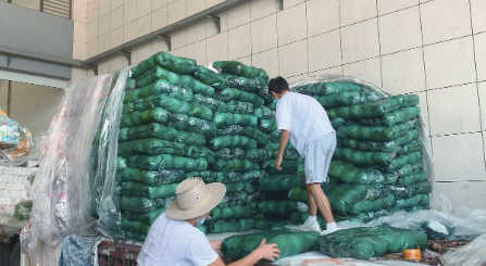 穿上"冷气衣" 罩上防晒网 宁波"菜篮子"保供"避暑"妙招百出